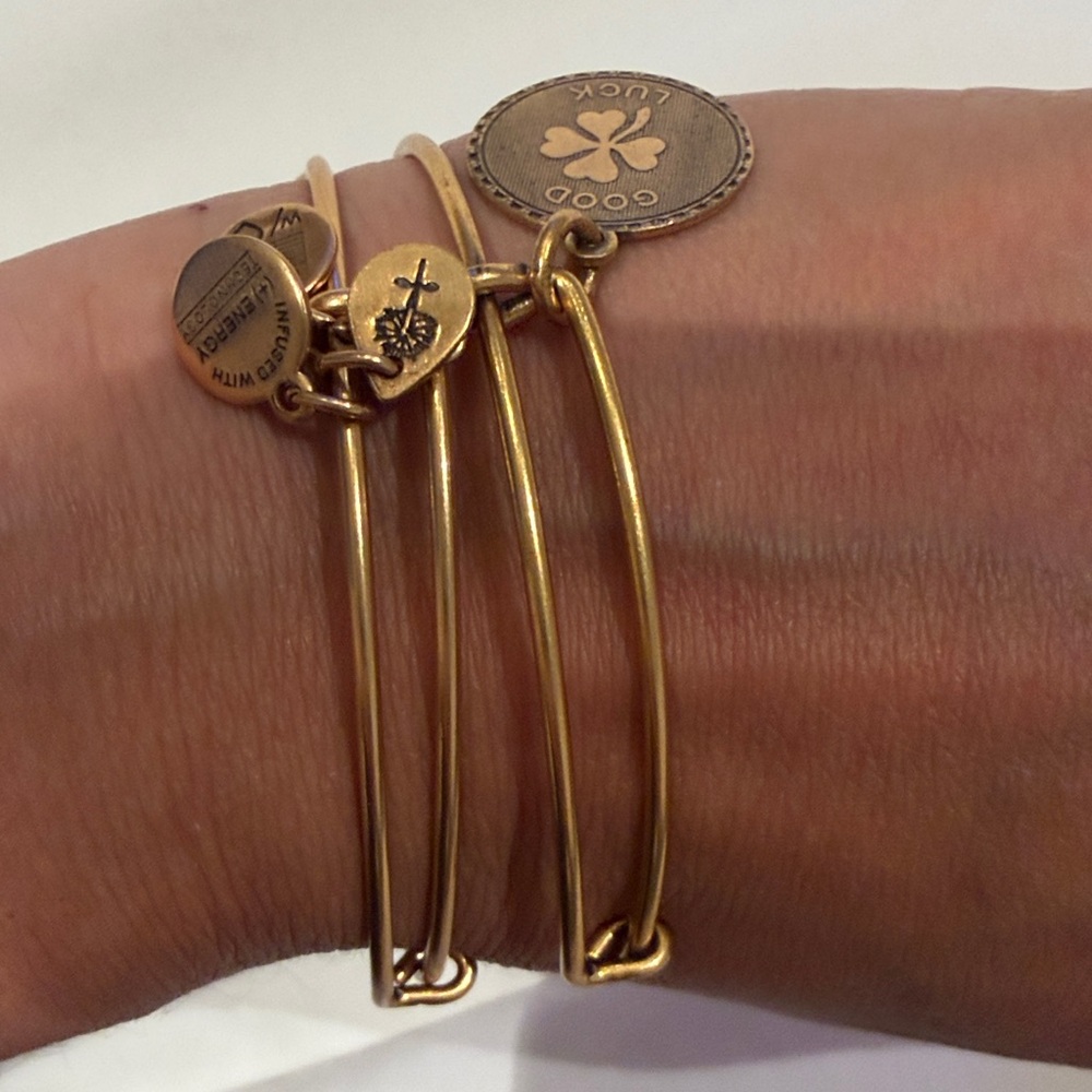 Alex and Ani Gold Tone Charm Expandable Bracelet Set